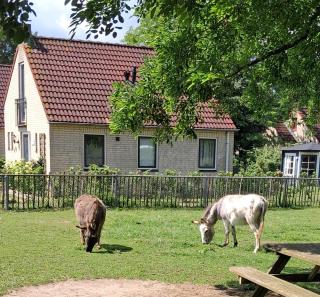 Heerlijke recreatiewoning op een geweldige plek - Ewijk - 0