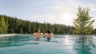 Das Waldhotel - Genuss & Wellness am Notschreipass - 9