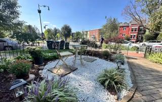 Cosy B&B in Vibrant Capitol Hill Free ParkingPass - 4