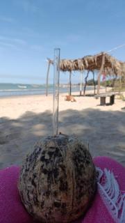 Strandhaus unter den Baobabbäumen - 8