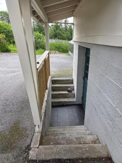 Basement apartment - 5
