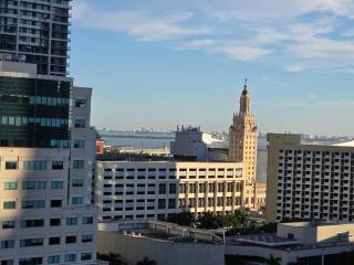 Luxury 1607 Condo in Downtown Miami 1BR 1BAT - 4