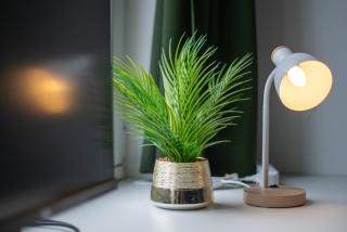 Guermache Green Design Apartment im Zentrum von Kassel - 1