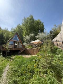 Eywa House - 3