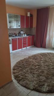 Vila Mirel Ursu - 1