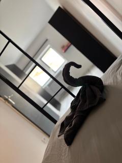 Le flocmagny - 3