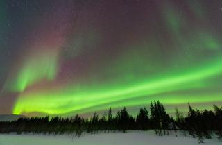 Boreal Pines for 1-6, Forest Views, Sauna, Balcony, Free Parking - 6