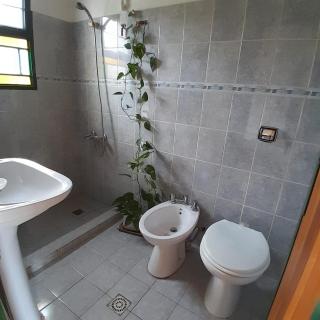 Habitación doble entre naturaleza y arte en Cabana - 6