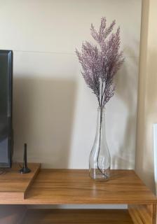 Flat Centro Premium - 7