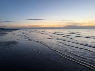 Vitamin Sea - Estelle - 3