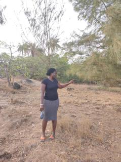 Rastacounda - Eco Lodge & Restaurant- Casamance - 2