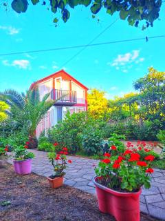 Makho's Cottage in Kobuleti - 4