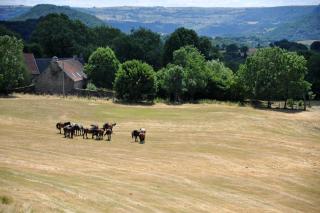 Lo Quinze - 3