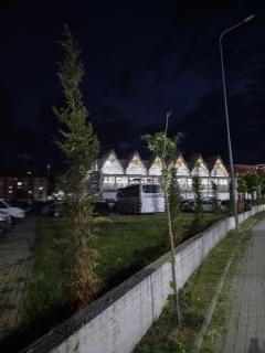 Banesa - 2