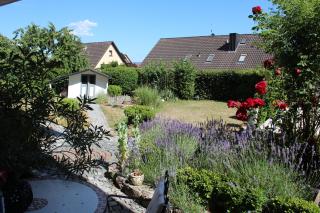 Weinbergsnest am Main - 1