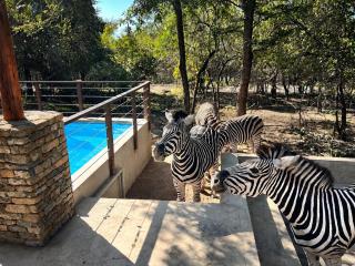 The ChaBo Lodge - 9