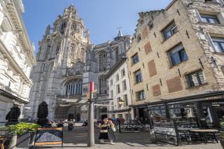 Spacious 11-person stay in Antwerp - 5