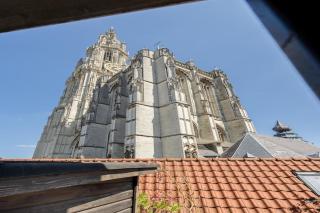 Spacious 11-person stay in Antwerp - 4