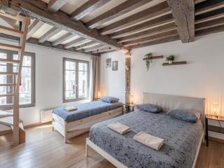 Spacious 11-person stay in Antwerp - 3