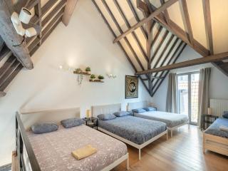 Spacious 11-person stay in Antwerp - 2