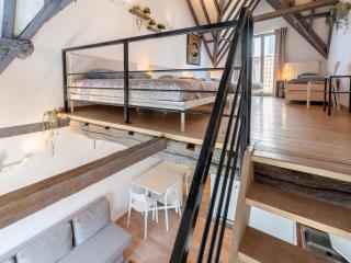 Spacious 11-person stay in Antwerp - 3