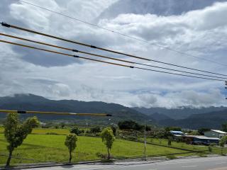 Green Home - 2