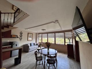 Loft 1 LUXURY STAYS Perisur-Pedregal - 2