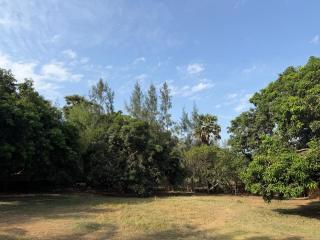 Avora Auroville - 4