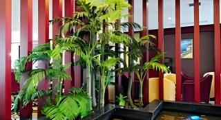 Wuhan Newport International Hotel - 4