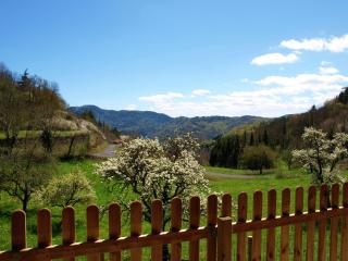 Holiday home nearby river - Vachelerie - 8