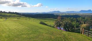 Bream Bay Views - 5