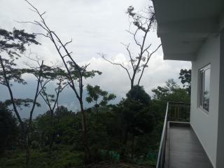 Amala homestay - 3