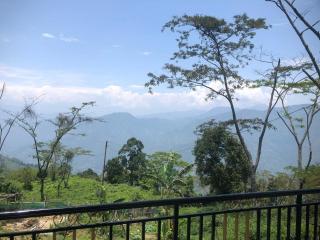 Amala homestay - 1