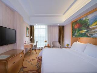 Vienna Hotel Guangdong Meizhou Fengshun - 2