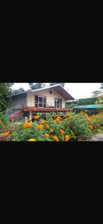 Newacheen homestay bara bhalukhop Kalimpong - 2