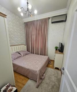 Appartament 2 bedroom Pushkin near the Northern Avenue - 2