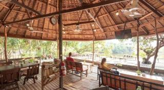 OYO 693 Tree House Cottage - 5