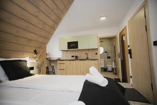 SkiPoint Apartamenty z widokiem na Tatry - 3