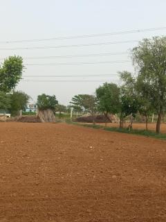Nesta homestay - 4
