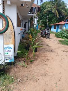 Dolphin beach - 2