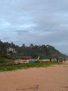 Dolphin beach - 5