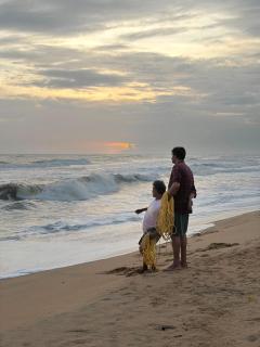 Dolphin beach - 7
