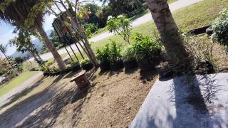 Kuntum Cottage Bed & Breakfast - 5