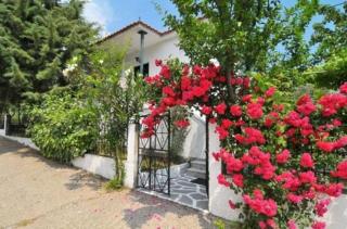 Studios Filippina - Skala Potamias - 1
