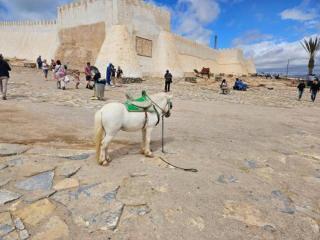 Cámara de Agadir - 1