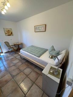 Spacious villa with Alpine views - 4