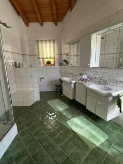 Spacious villa with Alpine views - 1