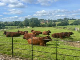 Weatherhead Farm - 8