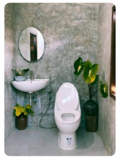 Tamarind nest - 1