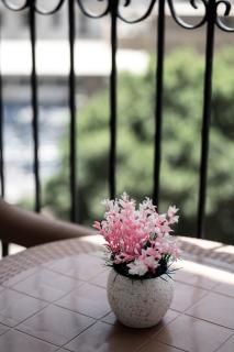 Royal Hotel - 7